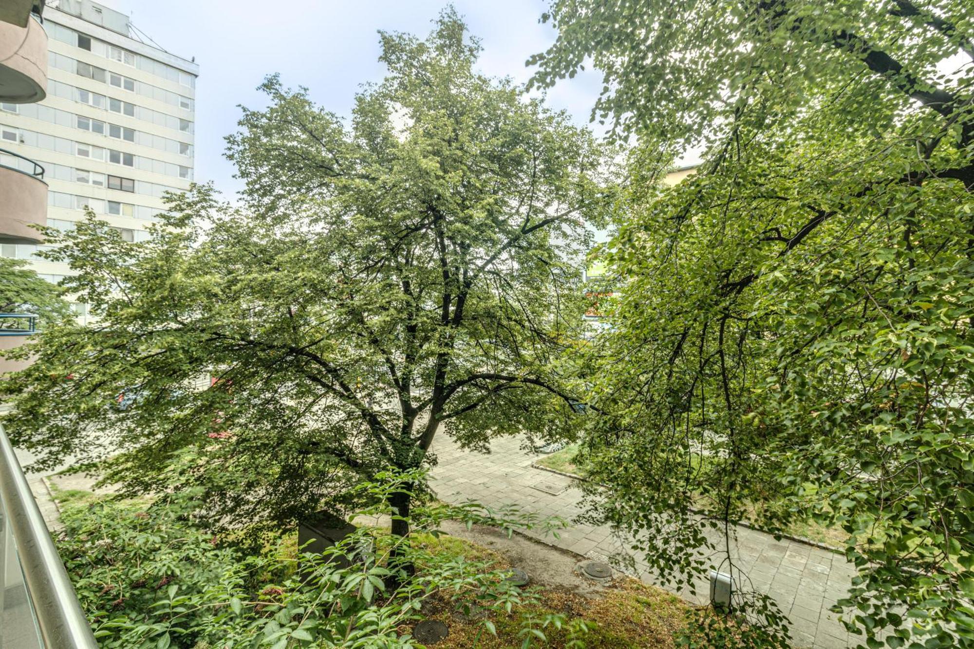 Rentplanet - Apartament Kosciuszki Wrocław Buitenkant foto